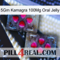 5Gm Kamagra 100Mg Oral Jelly 15